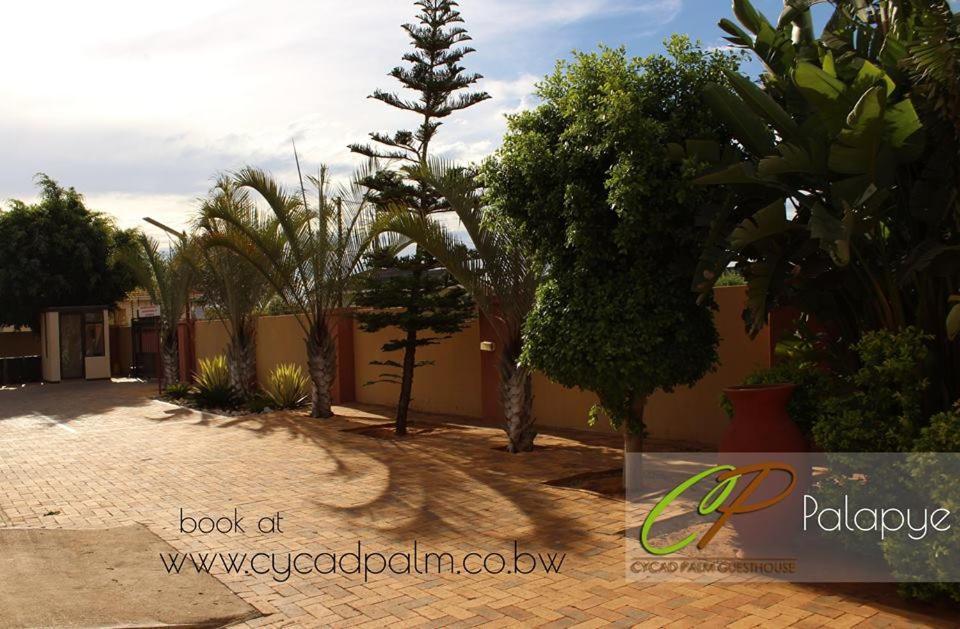 Cycad Palm Guesthouse Palapye Exterior photo